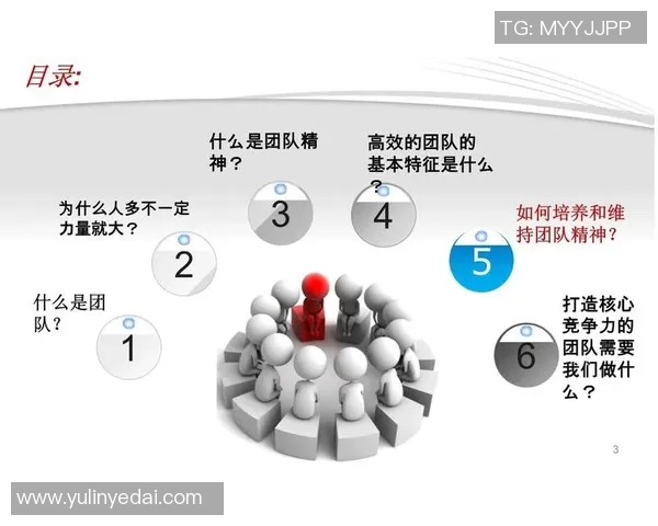 上海篮球队团队协作深度解析及其对比研究